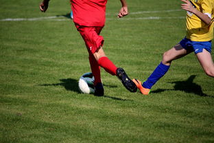 九游游戏-中小学篮球教研活动不断创新教学方法提升训练效果，篮球教研活动总结